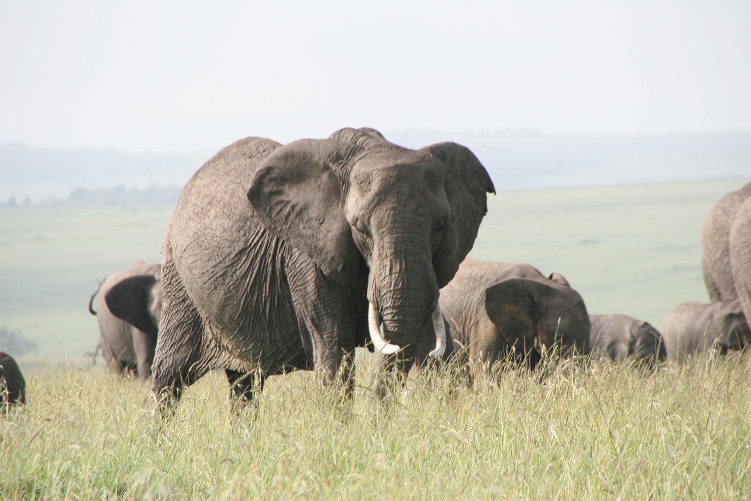 WVT-30B-Africa-Wild-Vacations